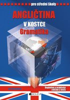 Angličtina v kostce pro SŠ-Gramatika