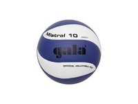 Volejbalový míč MISTRAL 10