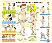 Obraz "Human Body and Appearance" (ANJ)