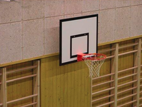 Basketbalová deska 110 x 70 cm, překližka, interiér, cvičná