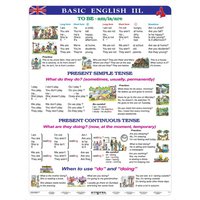 Basic English III, 120 x 160 2v1 (+20 A4)