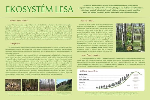 /media/products/nastenna-tabule-ekosystem-lesa.jpeg