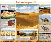 Obraz Saharská poušť - krajina slunce a písku