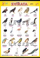 Zvířata - ptáci A3 (42x30 cm), bez lišt